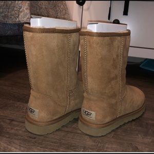 Tall Chestnut UGG boots